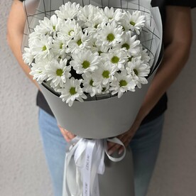 Крупные ромашки