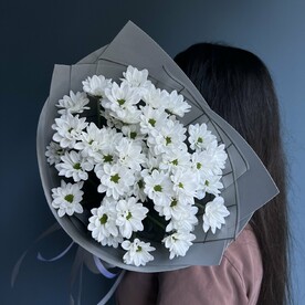 Милая Хризантема