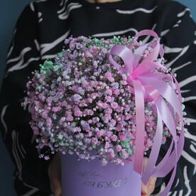 Гипсофила в коробке