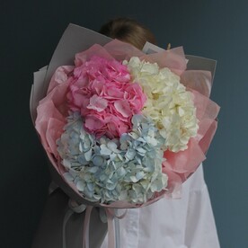 Трио гортензий