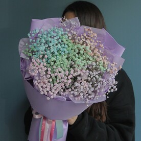 Гипсофила радужная