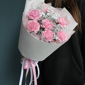 Снежные диантусы