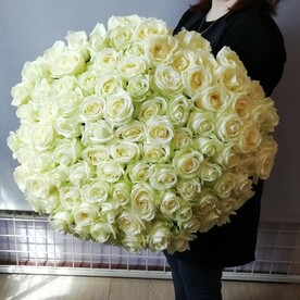 Роза аваланч