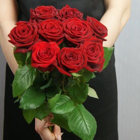 Роза красная