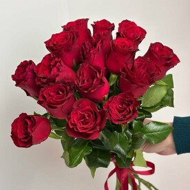 Роза красная