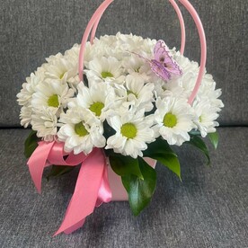 Шепот ромашек