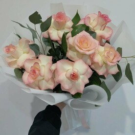 Франццузские розы