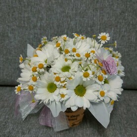 Композиция-комплимент