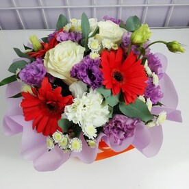 Радужные сны