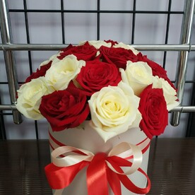 Расцвет красоты