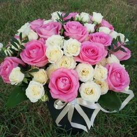 Апрельское солнце