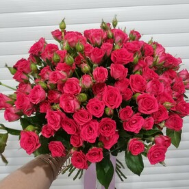 Малиновое чудо