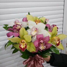 Орхидея микс