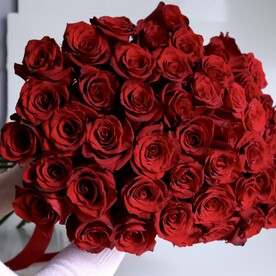 Роза Эквадор