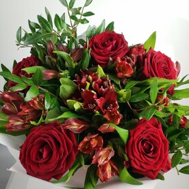 Вдвойне красивая