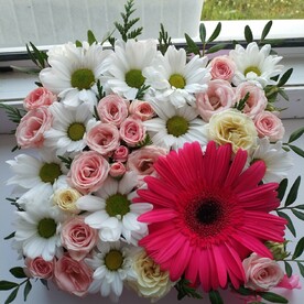 Единственной