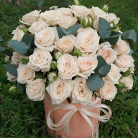 Кремовый соблазн