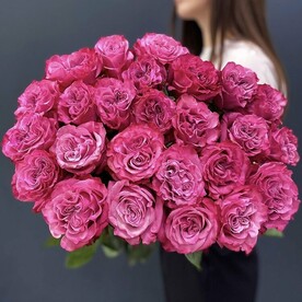 23 розы Кантриблюз 60см