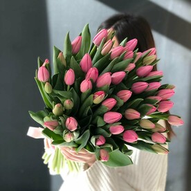 51 РОЗОВЫЙ ТЮЛЬПАН