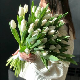 51 белый тюльпан