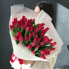 51 красный тюльпан букет
