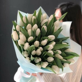51 белый тюльпан букет