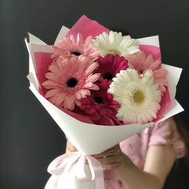 Восхитительные Герберы