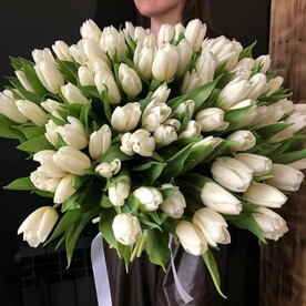 101 белый тюльпан на ленте