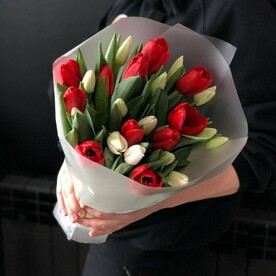 25 тюльпанов в упаковке