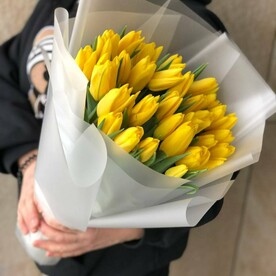 35 желтый тюльпан в упаковке
