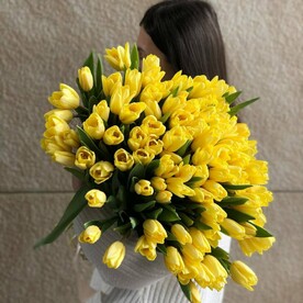 101 желтый тюльпан в ленту