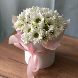 Ромашковые хризантемы