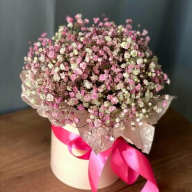 Гипсофилы в коробке