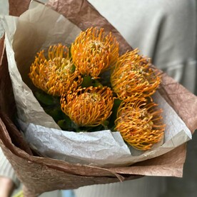 Нутан оранжевый