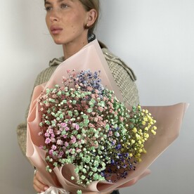 Гипсофильное облако