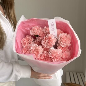 Моно из 15 диантусов