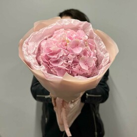 Комплимент из Гортензии в упаковке