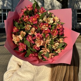 Моно букет из альстромерии 9шт