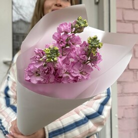 Моно букет из маттиолы