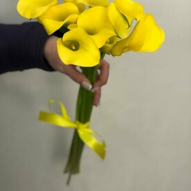 Элегантный знак