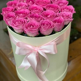 Розовые розы