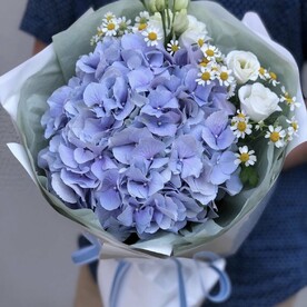 Тихая гавань