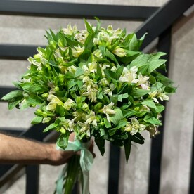 Зеленый шум