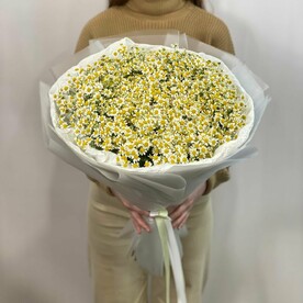 Букет из 51 танацетума