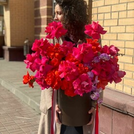 Композиция "Ритмы фламенко"