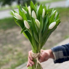 Букет из 15 белых тюльпанов