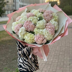 Зефирный день