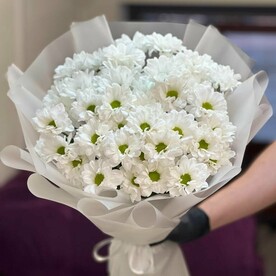 Лунный свет