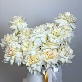 Лебединое озеро