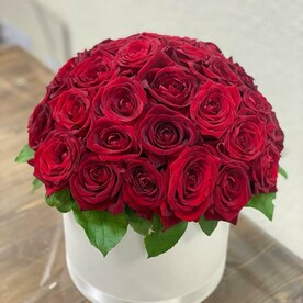 Красная королева